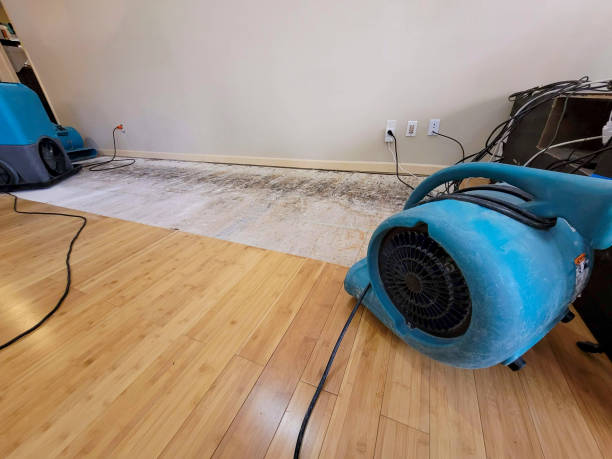 Professional Emergency Water Damage technician working in Kirkland, WA